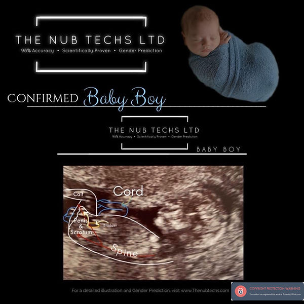 The Nub Theory Boy UK The Nub Techs